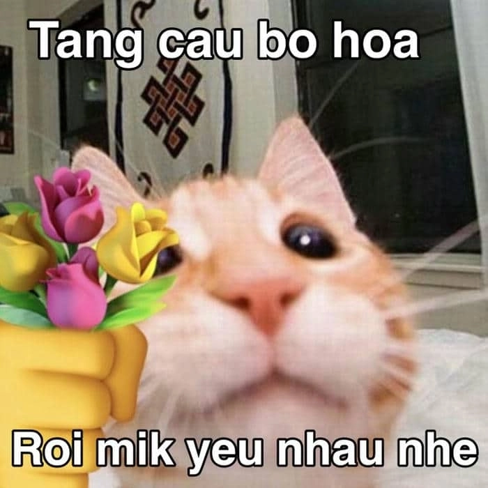 Khám phá bộ sưu tập ảnh meme tỏ tình ngọt ngào nhất