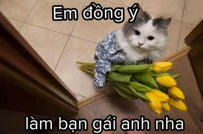 Những mẫu meme tình yêu siêu dễ thương dành cho couple, người dùng mạng xã  hội