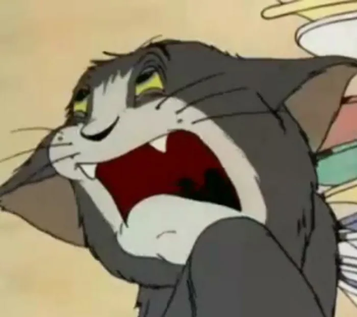 TOP 50+ hình ảnh tom and jerry meme cực troll, cười vỡ bụng | Yody