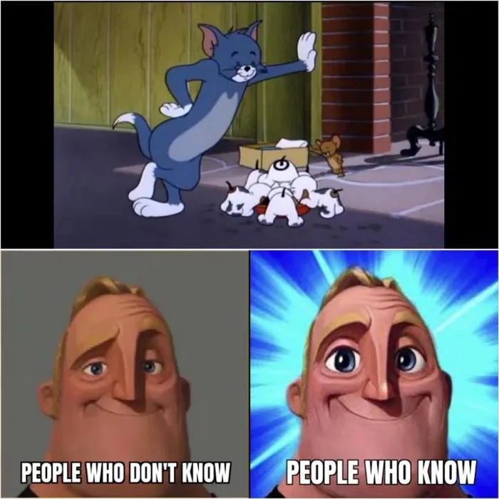 Một meme Tom và Jerry dễ thương (Puppy Tale, 1954) : r/wholesomememes