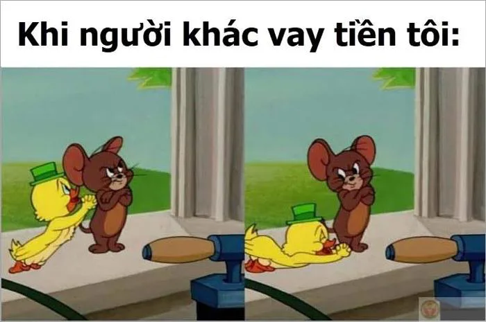 Tổng hợp Tom & Jerry meme – Ảnh chế mèo chuột face siêu hài