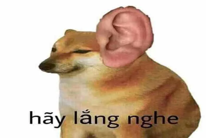 Meme Bựa Troll Lầy Nhất [113+ Hình Ảnh Meme Bá Đạo]