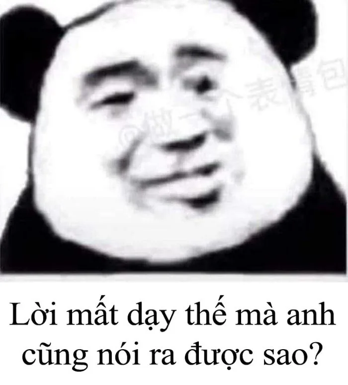 Meme Mất Dạy Nhất Thế Giới [133+ Ảnh Chế Mất Dạy Troll]