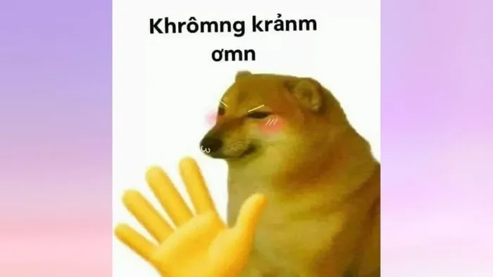 Những meme không siêu bựa, đáng yêu được nhiều người yêu thích