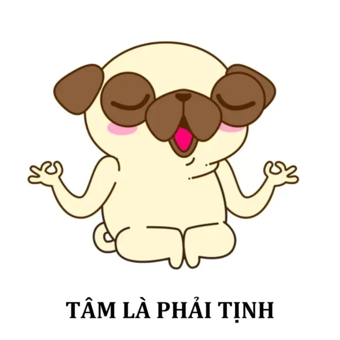 Cười ngất với loạt ảnh meme dễ thương siêu ngộ nghĩnh