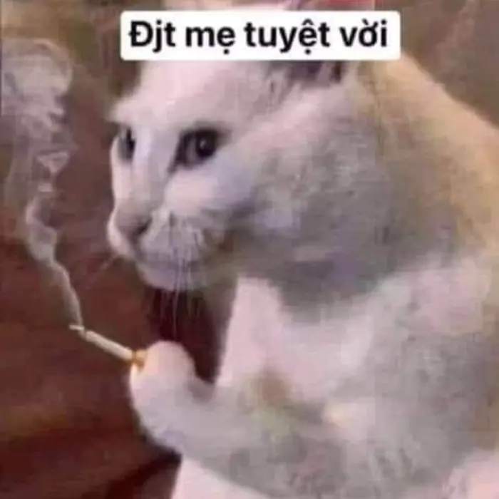 meme-tuyet-voi-1