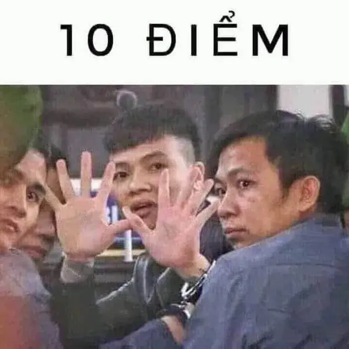 33 Meme Tuyệt Vời giúp bạn thể hiện sự ngưỡng mộ, khen ngợi ai đó không sến  sẩm