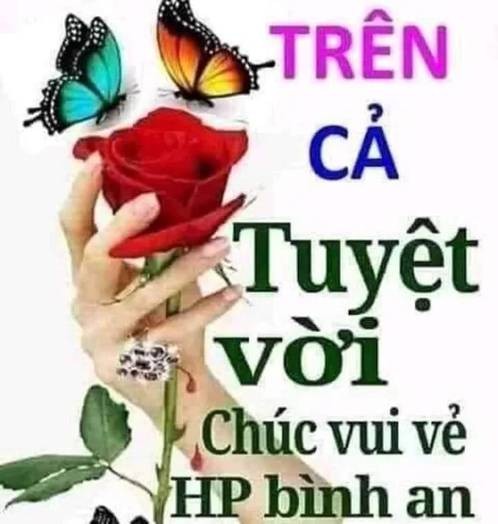 Meme ⚡ Trên cả tuyệt vời, chúc vui vẻ hạnh phúc bình an