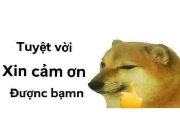 Bộ Sưu Tập 100+ Cảm Ơn Meme Sử Dụng Phổ Biến Nhất 2026
