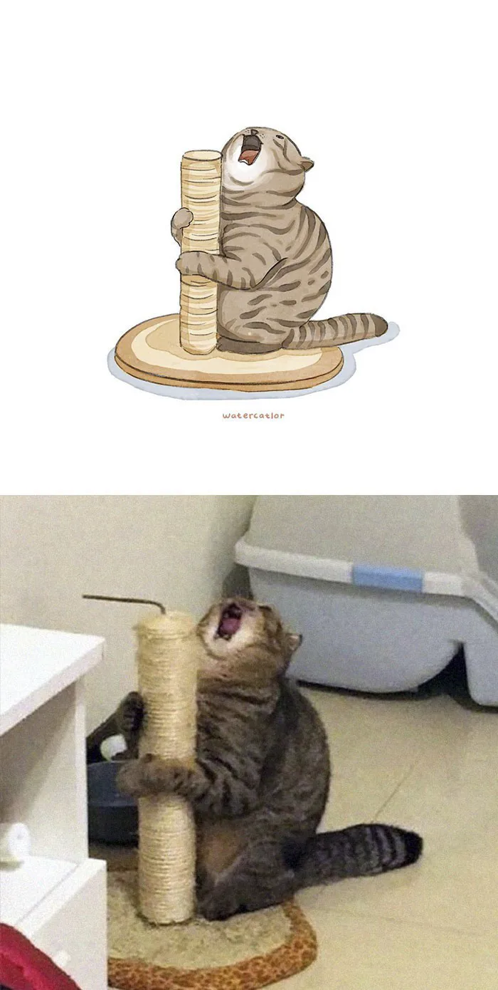 Lấy meme mèo trên mạng vẽ thành tranh nước, họa sĩ cho ra đời tác phẩm đẹp  nên thơ bất ngờ