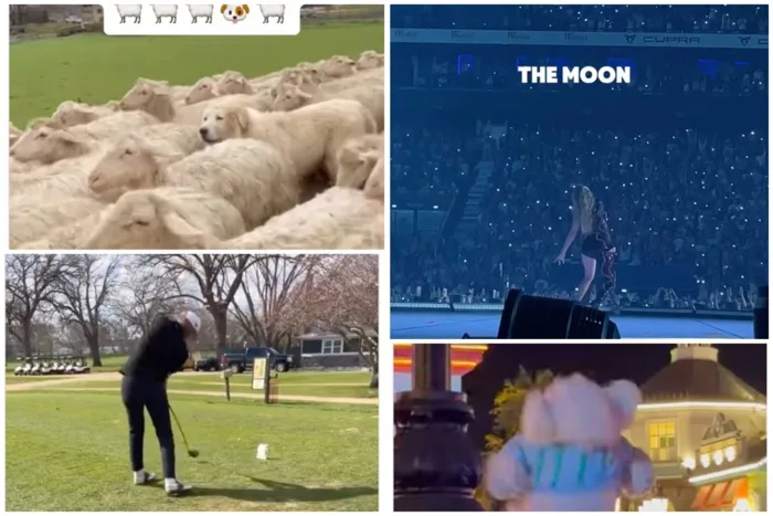 The Morning Laugh: 5 funny videos and memes to start your day with a smile