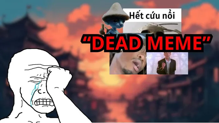 CÁCH CÁC MEME BỊ LÃNG QUÊN ĐI | Giải thích meme