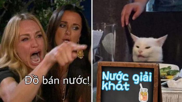 Vietnamese meme! : r/VietNam