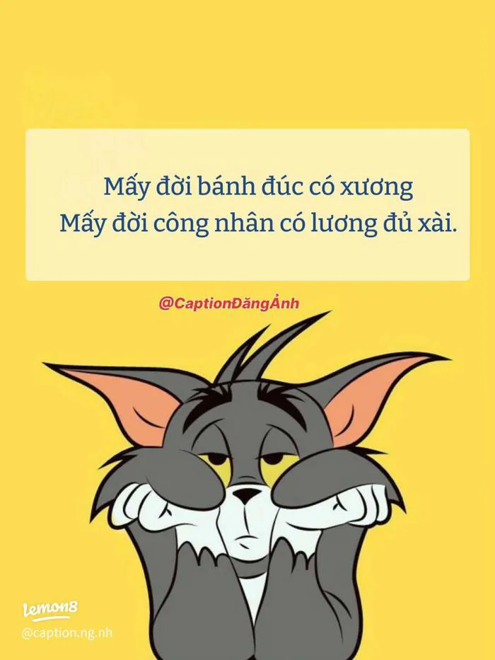 Status hài hước cho dân đi làm: meme mèo mệt mỏi, thơ chế 