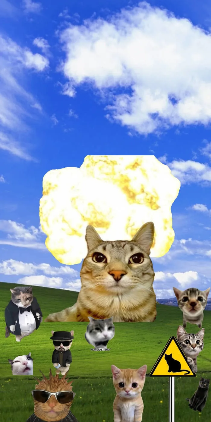Meme Cats Explosion Wallpaper | Wallpics Meme Cats Explosion Wallpaper | Wallpics