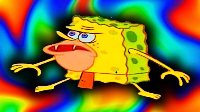 Spongebob Meme Wallpapers - Top Free Spongebob Meme Backgrounds - WallpaperAccess Spongebob Meme Wallpapers - Top Free Spongebob Meme Backgrounds - WallpaperAccess