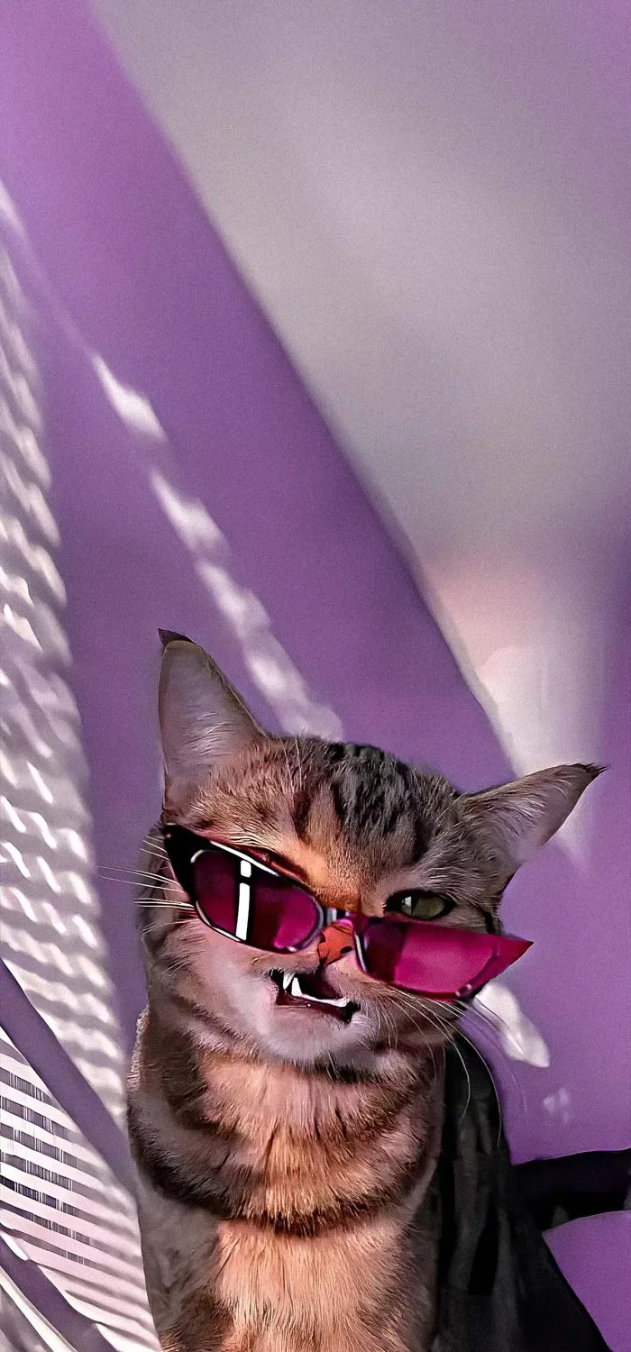 Meme 4k Phone Wallpapers - Wallpaper Cave Meme 4k Phone Wallpapers - Wallpaper Cave
