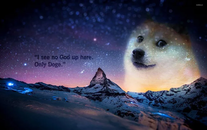 Doge wallpaper - Meme wallpapers - #27299 Doge wallpaper - Meme wallpapers - #27299
