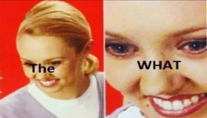 The What Meme Template & Meme Generator [FREE]