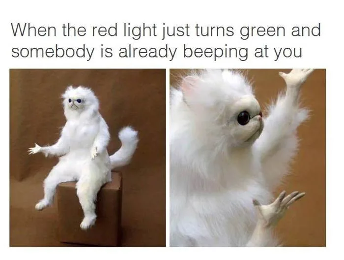 The Birth of Monkey-Cat Meme. I love memes. They always make me smirk… | by  Cristina Conforti | Medium