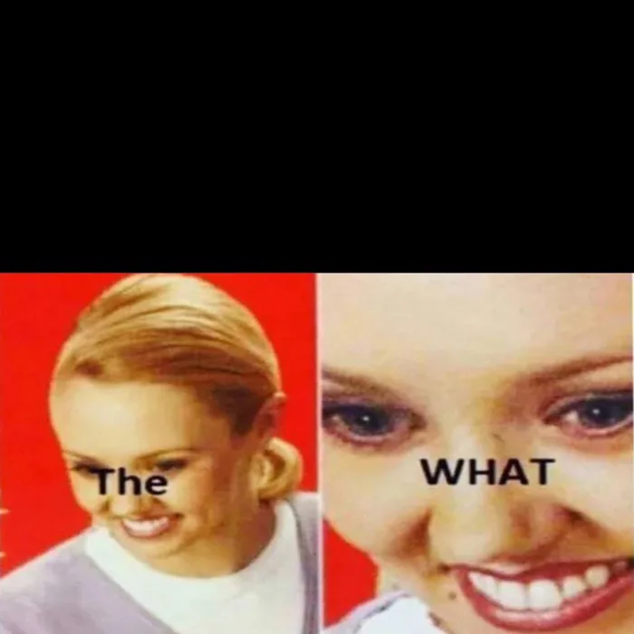 The What Meme Generator - Imgflip