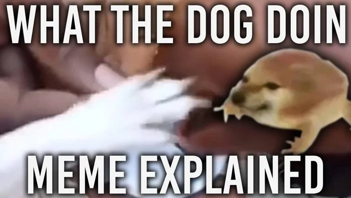What The Dog Doin Meme EXPLAINED!