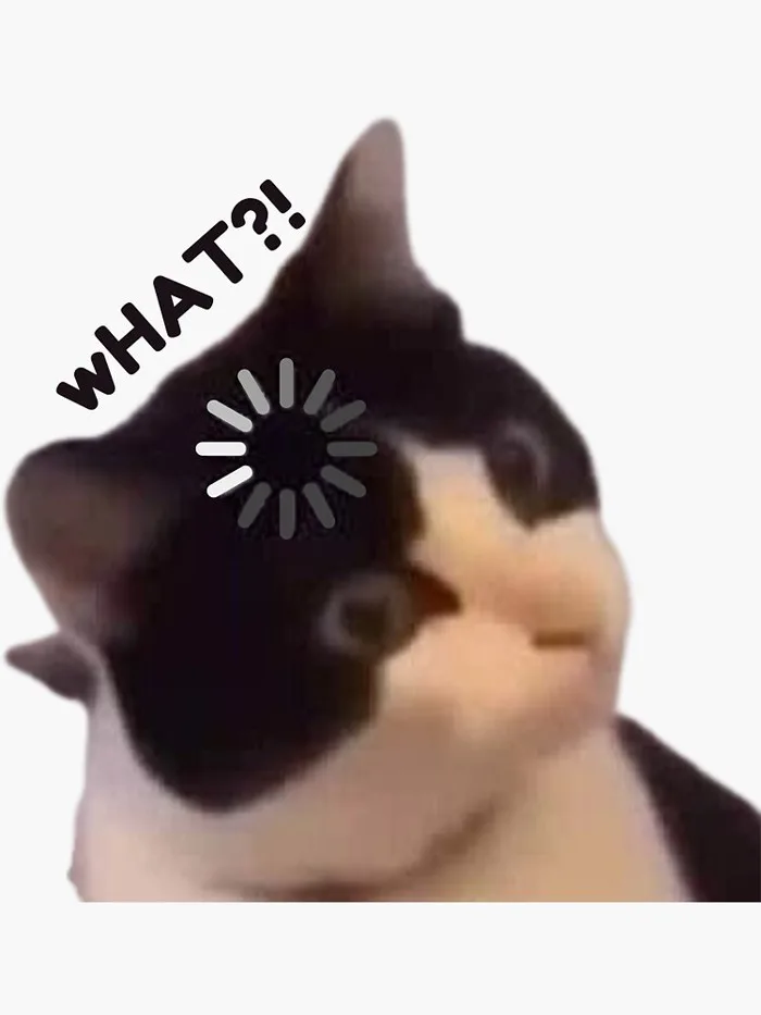 wHAT?! Cat Meme