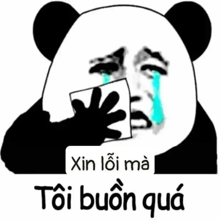 Khám phá ảnh meme xin lỗi bất lực đầy hài hước