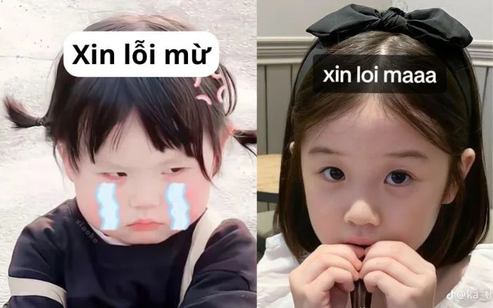 Tuyển tập 38+ ảnh meme xin lỗi hài hước đáng yêu cực khó đỡ