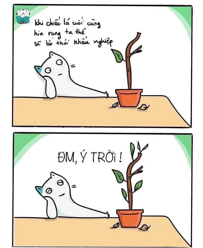 Ý trời meme - Tổng hợp meme ý trời hài hước