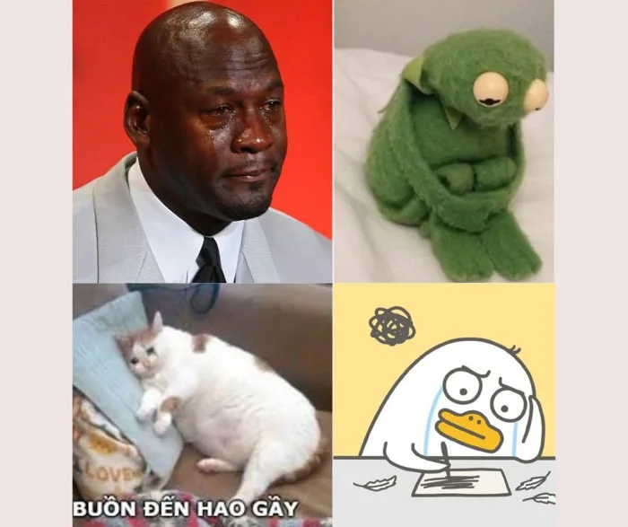Tổng hợp các loại meme buồn làm mưa làm gió trên mạng xã hội