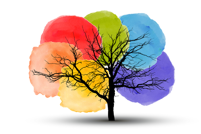 20000+ Lgbt Symbol & ảnh Tự Hào miễn phí - Pixabay