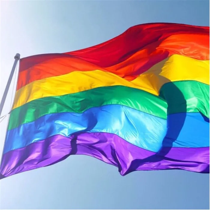 Vải lục sắc LGBT (1mx1m5) làm phông nền - cờ trang trí | Shopee Việt Nam