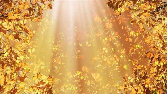100+ hình nền background may mắn 4K cho PC mới nhất