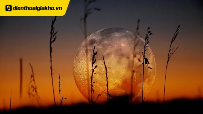 299+ Hình nền may mắn cho mệnh Thổ, bùng nổ tài lộc 2025