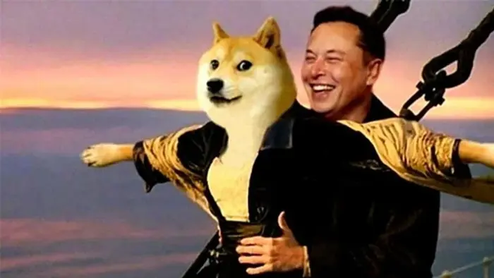 BST 200+ Hình Nền Meme vừa hài vừa cute cho cả điện thoại và máy