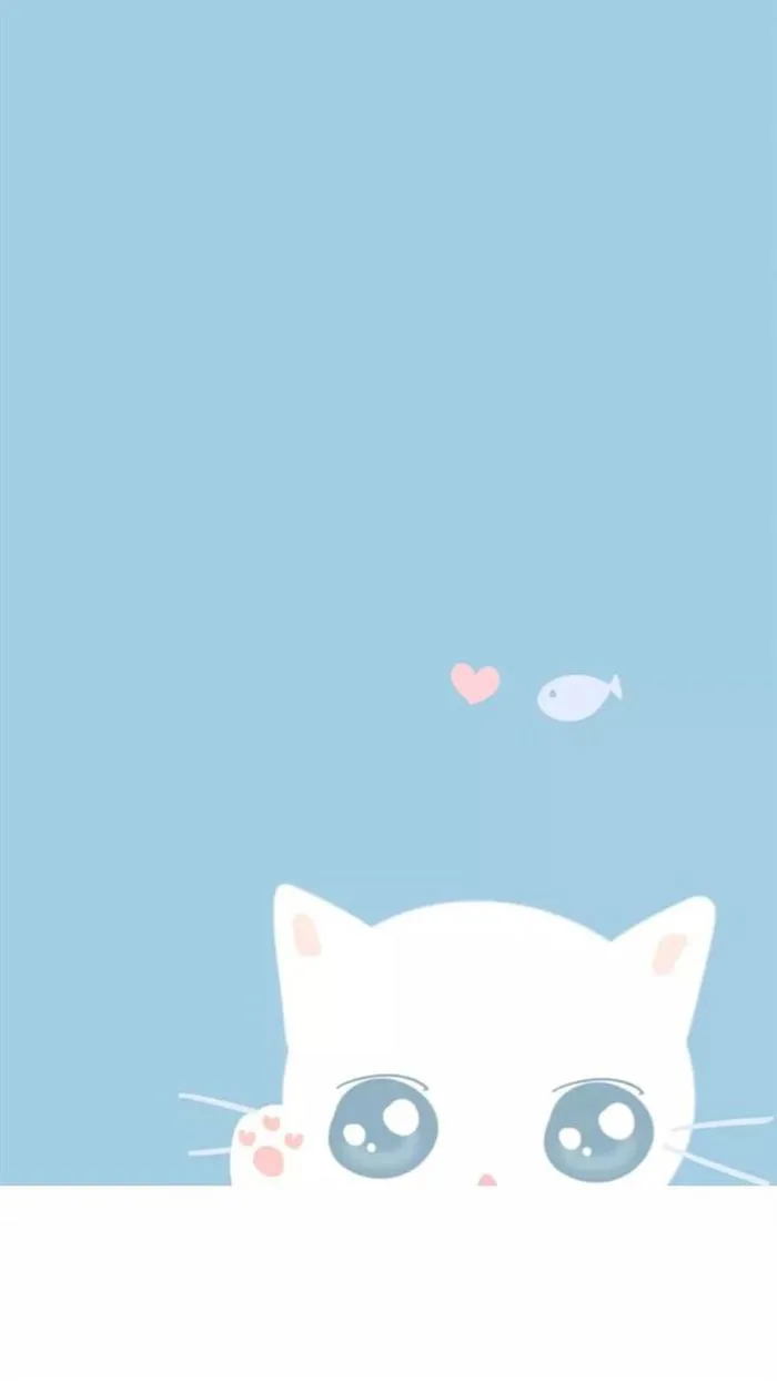 Hình nền mèo Kitty xanh dễ thương | Wallpaper hd mobile, Blue background  cat design, Cute