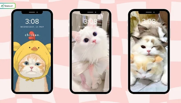 199+ Hình nền mèo cute, đẹp, ngầu 4K cho điện thoại, máy tính