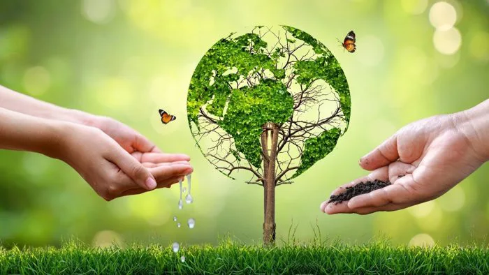 Tổng hợp hình nền PowerPoint bảo vệ môi trường đẹp nhất 2026