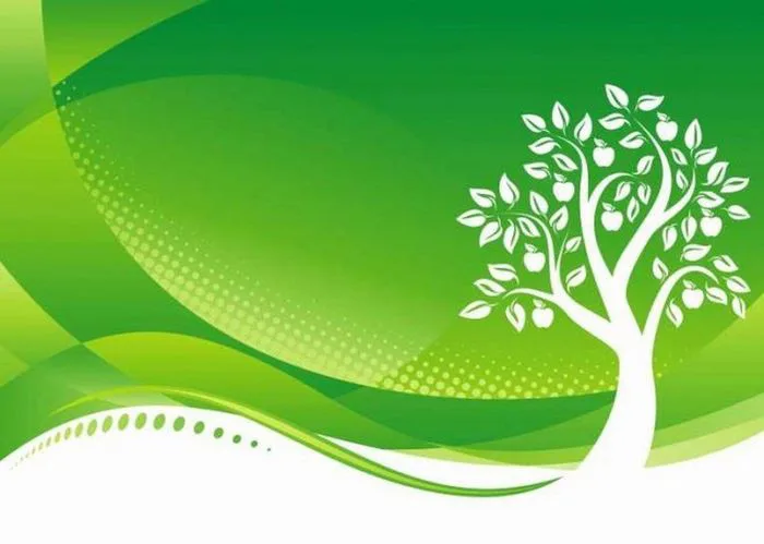 Những hình nền môi trường đẹp mắt, mang đến cảm giác tươi mới và gần gũi  với thiên nhiên.