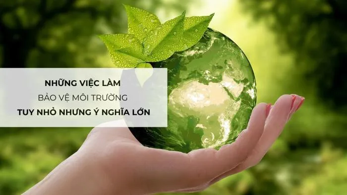 Những việc làm bảo vệ môi trường tuy nhỏ nhưng ý nghĩa lớn