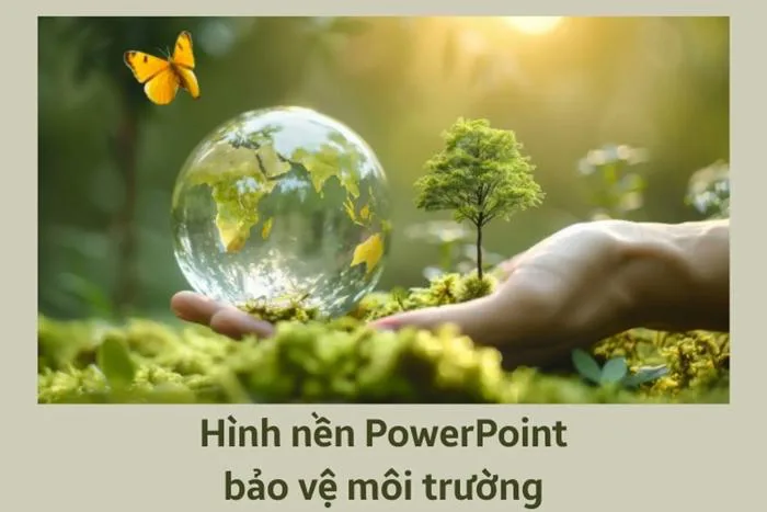 Tuyển chọn 100+ hình nền PowerPoint bảo vệ môi trường đẹp
