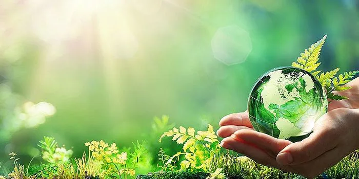 Những hình nền môi trường đẹp mắt, mang đến cảm giác tươi mới và gần gũi  với thiên nhiên.