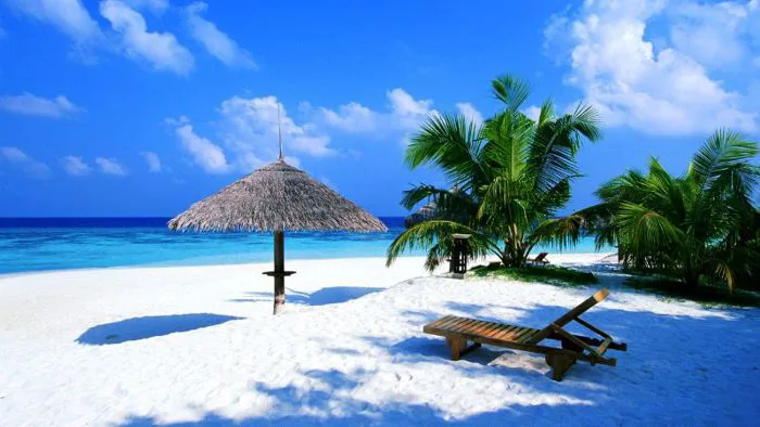 Tổng hợp 299+ hình ảnh mùa hè nóng bỏng, rực rỡ