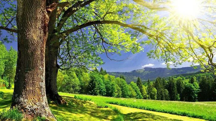 Tổng hợp hình ảnh mùa hè đẹp nhất - Ảnh đẹp mùa hè