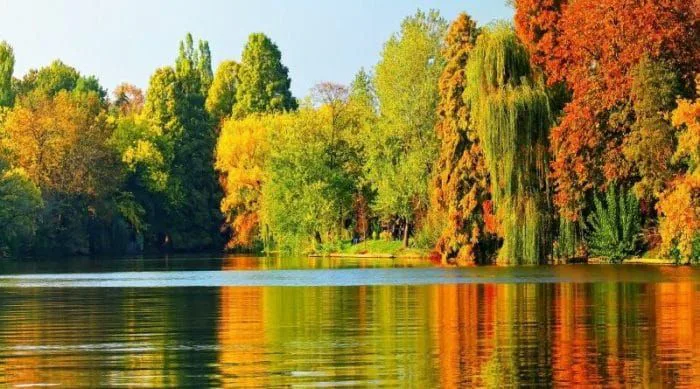 HOT] 199+ hình nền máy tính đẹp nhất thế giới chuẩn Full HD