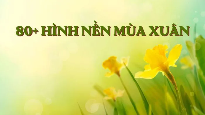 80+ Hình nền mùa xuân đẹp 4K cho máy tính, điện thoại