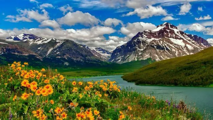 Hình ảnh mùa xuân đẹp nhất | Mountain meadow wallpaper hd, Rumi mountain  scenery, Mountain panoramic