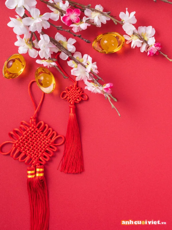 1001+ hình nền tết cute đáng yêu nổi bật chất lượng HD 2026 | Ảnh Cười Việt