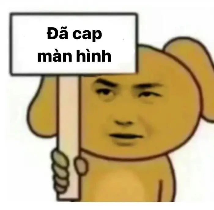 Ảnh meme bựa cực chất dành riêng để bình luận troll bạn bè